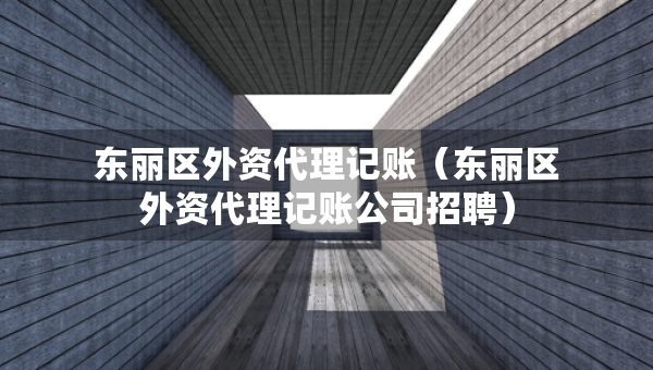 東麗區(qū)外資代理記賬（東麗區(qū)外資代理記賬公司招聘）