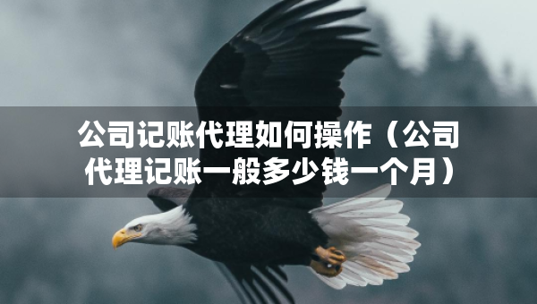 公司記賬代理如何操作（公司代理記賬一般多少錢一個月）