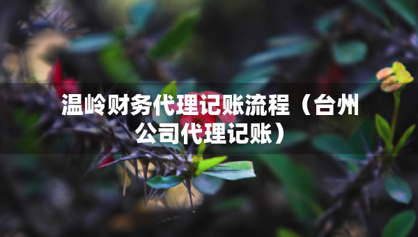 溫嶺財務(wù)代理記賬流程（臺州公司代理記賬）
