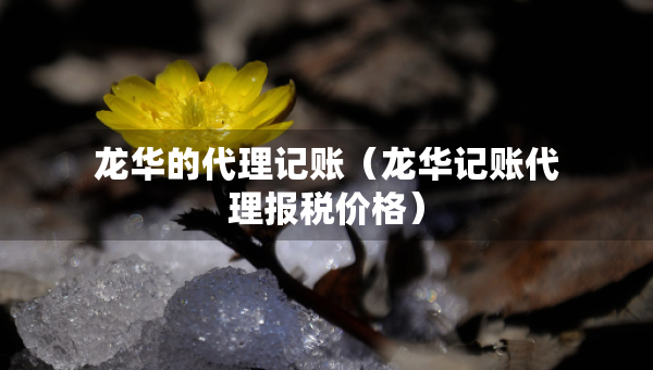 龍華的代理記賬(龍華記賬代理報稅價格) 龍華的代理記賬(龍華記賬代理報稅價格)