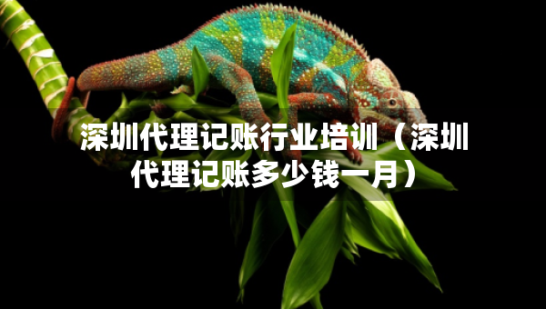 深圳代理記賬行業(yè)培訓(xùn)(深圳代理記賬多少錢一月) 深圳代理記賬行業(yè)培訓(xùn)(深圳代理記賬多少錢一月)