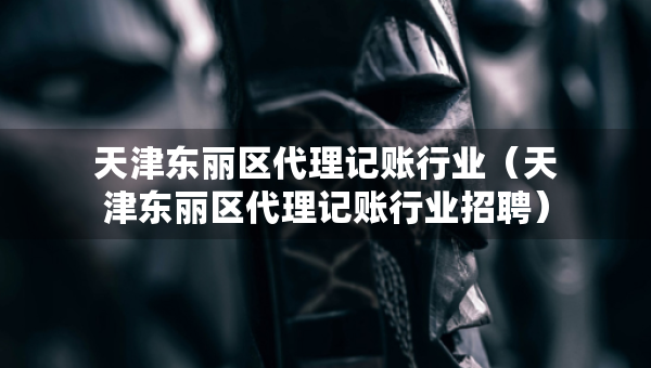 天津東麗區(qū)代理記賬行業(yè)（天津東麗區(qū)代理記賬行業(yè)招聘）