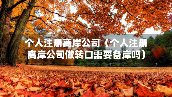 個(gè)人注冊(cè)離岸公司(個(gè)人注冊(cè)離岸公司做轉(zhuǎn)口需要備岸嗎) 個(gè)人注冊(cè)離岸公司(個(gè)人注冊(cè)離岸公司做轉(zhuǎn)口需要備岸嗎)