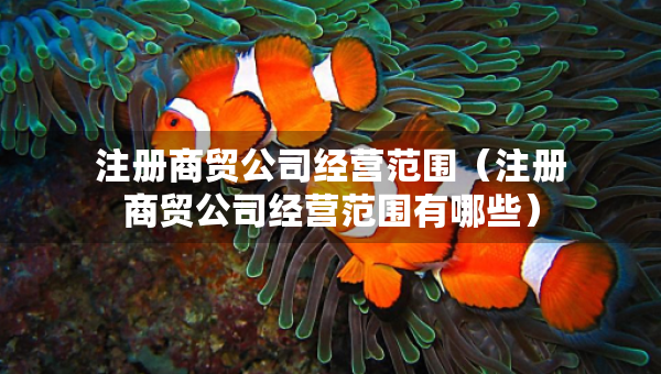注冊商貿(mào)公司經(jīng)營范圍（注冊商貿(mào)公司經(jīng)營范圍有哪些）
