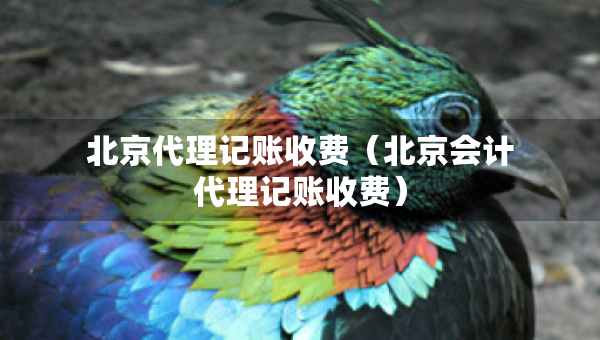 北京代理記賬收費（北京會計代理記賬收費）