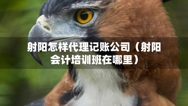 射陽(yáng)怎樣代理記賬公司（射陽(yáng)會(huì)計(jì)培訓(xùn)班在哪里）