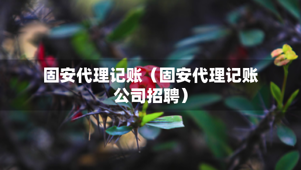 固安代理記賬(固安代理記賬公司招聘) 固安代理記賬(固安代理記賬公司招聘)