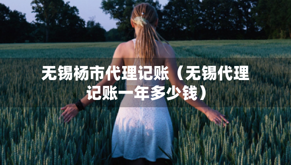 無(wú)錫楊市代理記賬(無(wú)錫代理記賬一年多少錢) 無(wú)錫楊市代理記賬(無(wú)錫代理記賬一年多少錢)