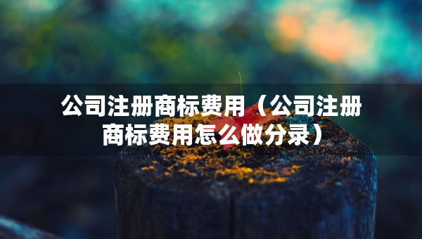 公司注冊(cè)商標(biāo)費(fèi)用（公司注冊(cè)商標(biāo)費(fèi)用怎么做分錄）