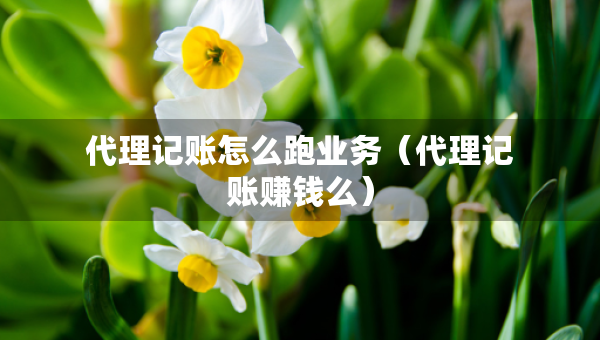 代理記賬怎么跑業(yè)務(wù)(代理記賬賺錢么) 代理記賬怎么跑業(yè)務(wù)(代理記賬賺錢么)