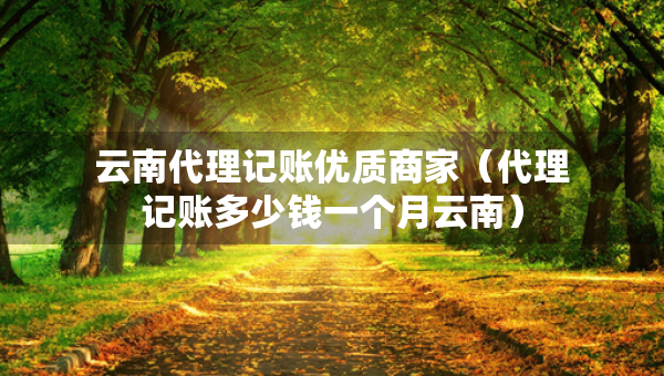 云南代理記賬優(yōu)質(zhì)商家（代理記賬多少錢一個(gè)月云南）