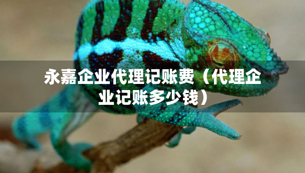 永嘉企業(yè)代理記賬費(fèi)（代理企業(yè)記賬多少錢）