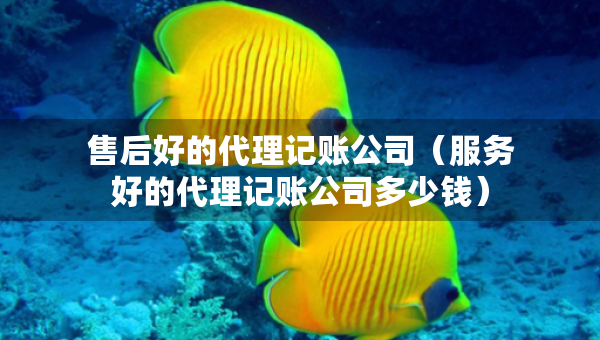 售后好的代理記賬公司（服務(wù)好的代理記賬公司多少錢）