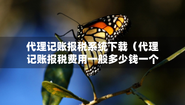 代理記賬報稅系統(tǒng)下載（代理記賬報稅費用一般多少錢一個月）