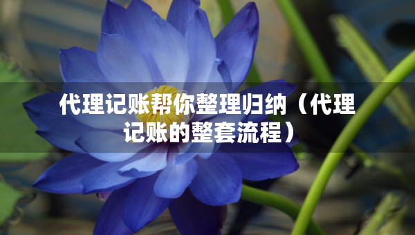 代理記賬幫你整理歸納（代理記賬的整套流程）