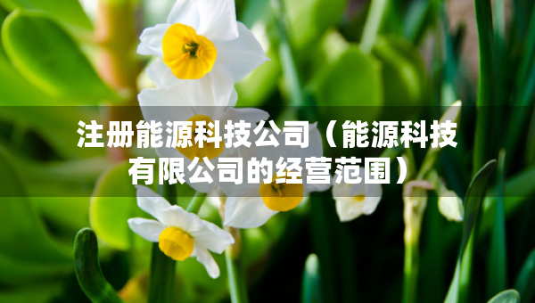 注冊(cè)能源科技公司(能源科技有限公司的經(jīng)營(yíng)范圍) 注冊(cè)能源科技公司(能源科技有限公司的經(jīng)營(yíng)范圍)