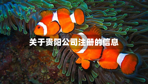 關(guān)于貴陽公司注冊的信息 關(guān)于貴陽公司注冊的信息
