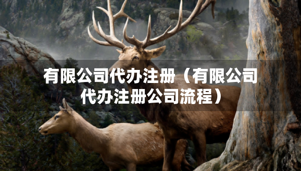 有限公司代辦注冊（有限公司代辦注冊公司流程）