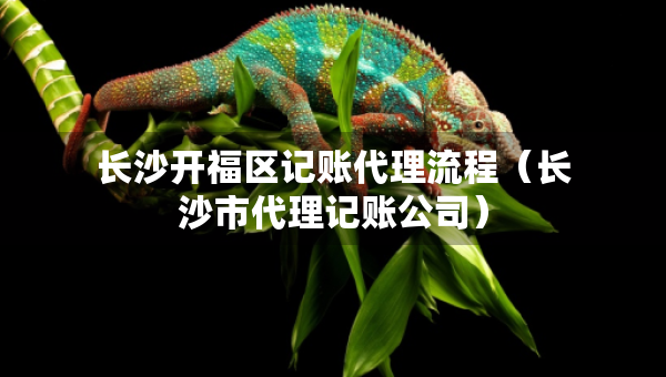 長(zhǎng)沙開福區(qū)記賬代理流程（長(zhǎng)沙市代理記賬公司）