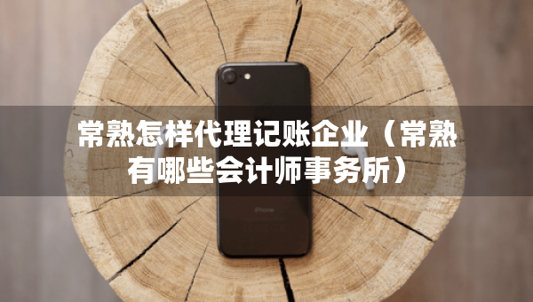 常熟怎樣代理記賬企業(yè)（常熟有哪些會計師事務(wù)所）