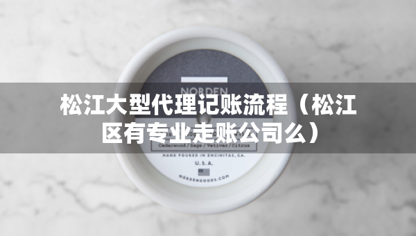 松江大型代理記賬流程（松江區(qū)有專業(yè)走賬公司么）