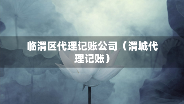 臨渭區(qū)代理記賬公司（渭城代理記賬）