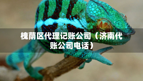槐蔭區(qū)代理記賬公司（濟(jì)南代賬公司電話）
