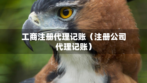工商注冊代理記賬（注冊公司代理記賬）