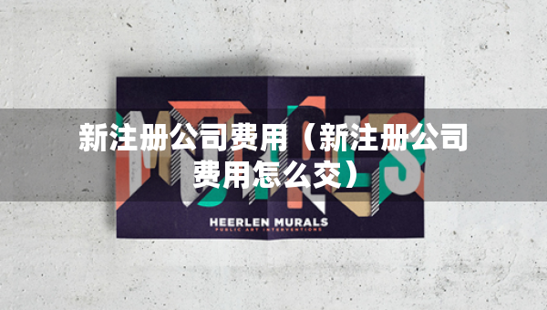 新注冊(cè)公司費(fèi)用（新注冊(cè)公司費(fèi)用怎么交）
