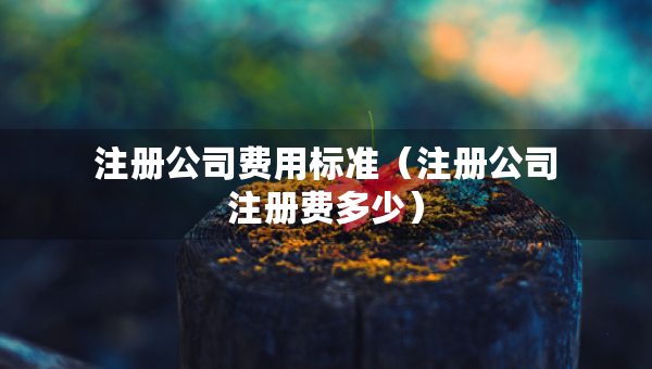 注冊公司費用標(biāo)準(zhǔn)（注冊公司注冊費多少）
