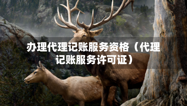 辦理代理記賬服務(wù)資格（代理記賬服務(wù)許可證）