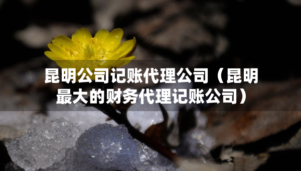 昆明公司記賬代理公司（昆明最大的財(cái)務(wù)代理記賬公司）