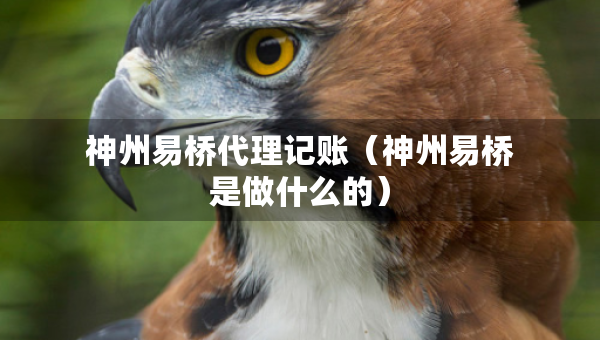 神州易橋代理記賬（神州易橋是做什么的）