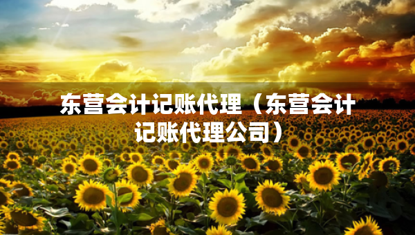 東營會(huì)計(jì)記賬代理（東營會(huì)計(jì)記賬代理公司）