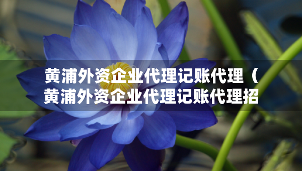 黃浦外資企業(yè)代理記賬代理（黃浦外資企業(yè)代理記賬代理招聘）