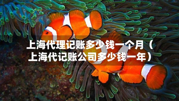 上海代理記賬多少錢一個月（上海代記賬公司多少錢一年）