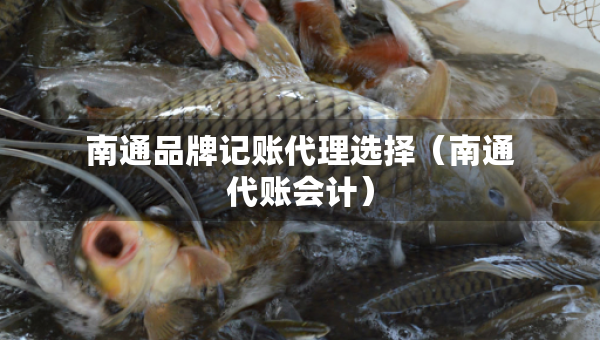 南通品牌記賬代理選擇（南通代賬會計）