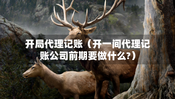 開局代理記賬（開一間代理記賬公司前期要做什么?）