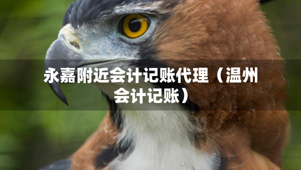 永嘉附近會(huì)計(jì)記賬代理（溫州會(huì)計(jì)記賬）