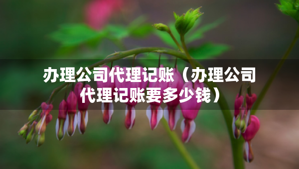辦理公司代理記賬（辦理公司代理記賬要多少錢）