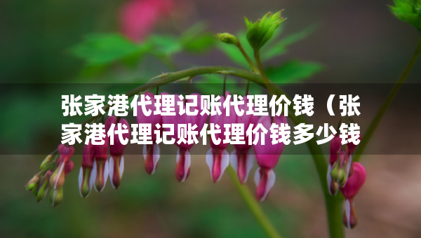張家港代理記賬代理價(jià)錢（張家港代理記賬代理價(jià)錢多少錢）