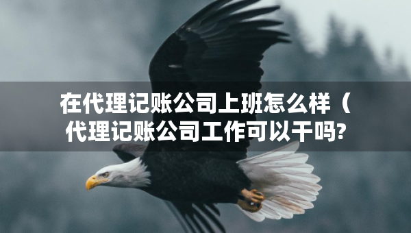 在代理記賬公司上班怎么樣（代理記賬公司工作可以干嗎?）