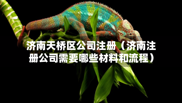 濟(jì)南天橋區(qū)公司注冊(cè)(濟(jì)南注冊(cè)公司需要哪些材料和流程) 濟(jì)南天橋區(qū)公司注冊(cè)(濟(jì)南注冊(cè)公司需要哪些材料和流程)