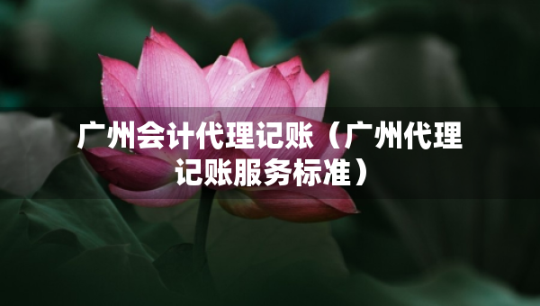 廣州會(huì)計(jì)代理記賬（廣州代理記賬服務(wù)標(biāo)準(zhǔn)）