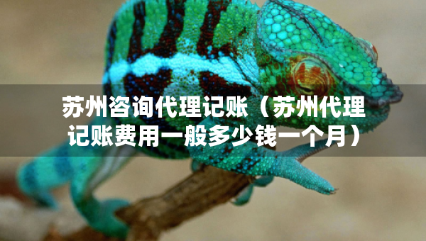 蘇州咨詢代理記賬（蘇州代理記賬費用一般多少錢一個月）