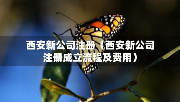 西安新公司注冊（西安新公司注冊成立流程及費用）