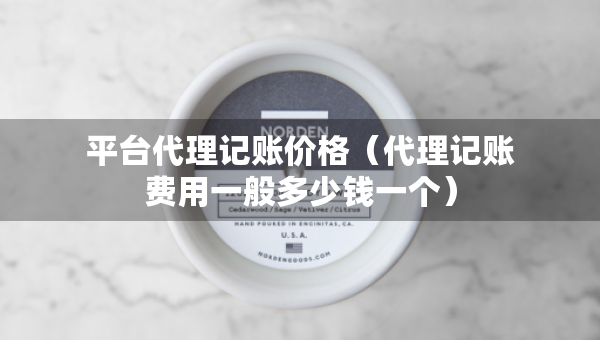 平臺代理記賬價格（代理記賬費用一般多少錢一個）