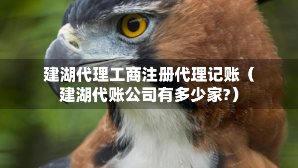 建湖代理工商注冊代理記賬（建湖代賬公司有多少家?）