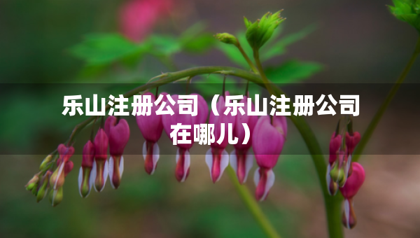 樂(lè)山注冊(cè)公司（樂(lè)山注冊(cè)公司在哪兒）