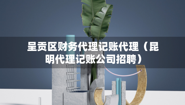 呈貢區(qū)財(cái)務(wù)代理記賬代理（昆明代理記賬公司招聘）